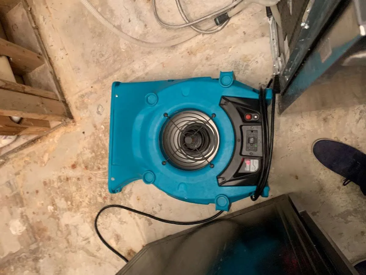 Air mover drying equipment for Mold Remediation & Removal in Mount Carmel