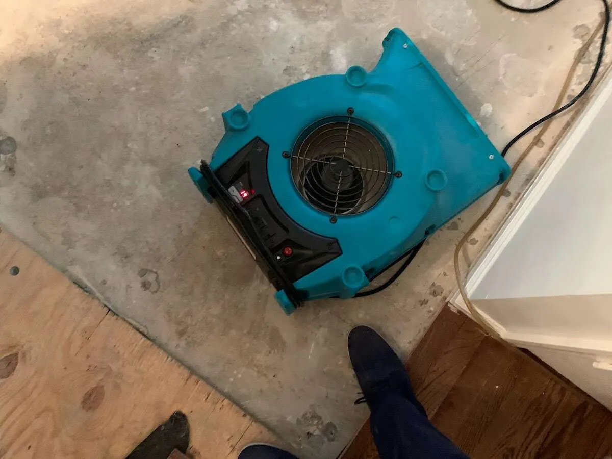 Air mover drying subfloor during Commercial Water Damage Restoration in Mount Carmel